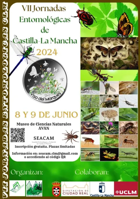 Cartel de "VII Jornadas Entomológicas de Castilla-La Mancha"