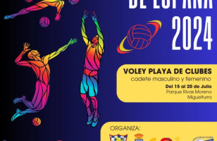 voleyplaya