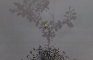 Agenda Ocio - El 48º Certamen Nacional de Artes Plásticas de Manzanares ya tiene obras ganadoras 